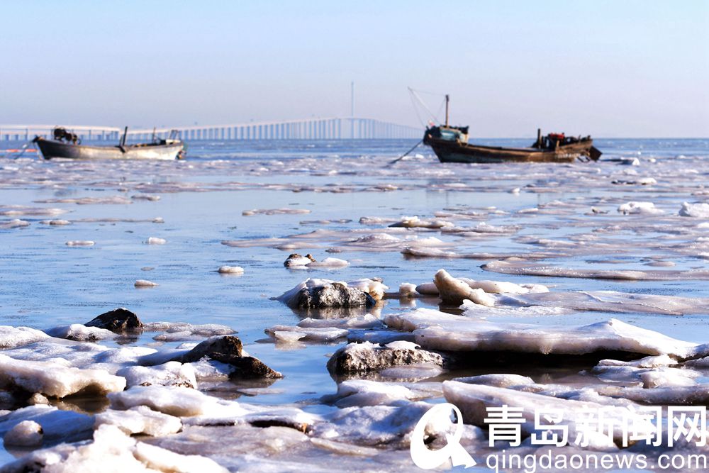 顿失滔滔洁白静谧 青岛胶州湾部分区域出现海冰  第3张