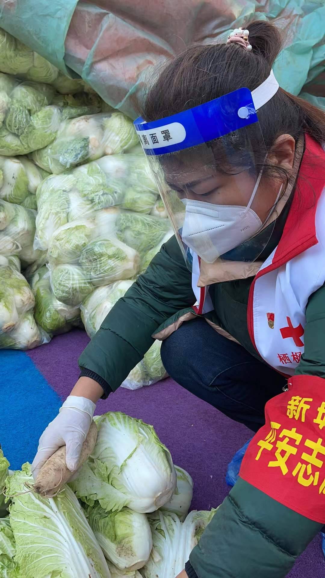山东捐赠的10万斤爱心菜已到西安 供应给2000多名师生和居民  第4张