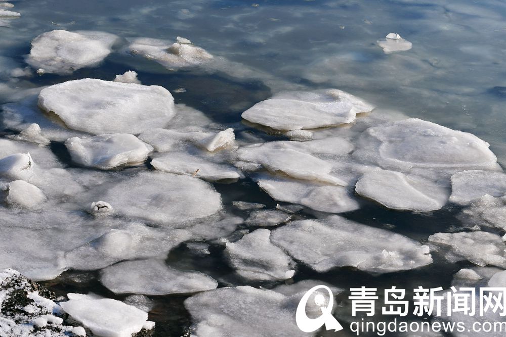 顿失滔滔洁白静谧 青岛胶州湾部分区域出现海冰  第4张