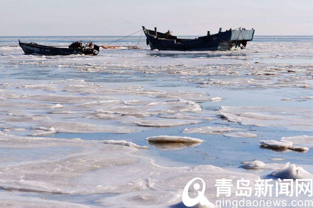 顿失滔滔洁白静谧 青岛胶州湾部分区域出现海冰  第2张