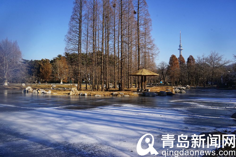 青岛中山公园大小景观湖结冰 冬之韵味跃然冰上  第1张